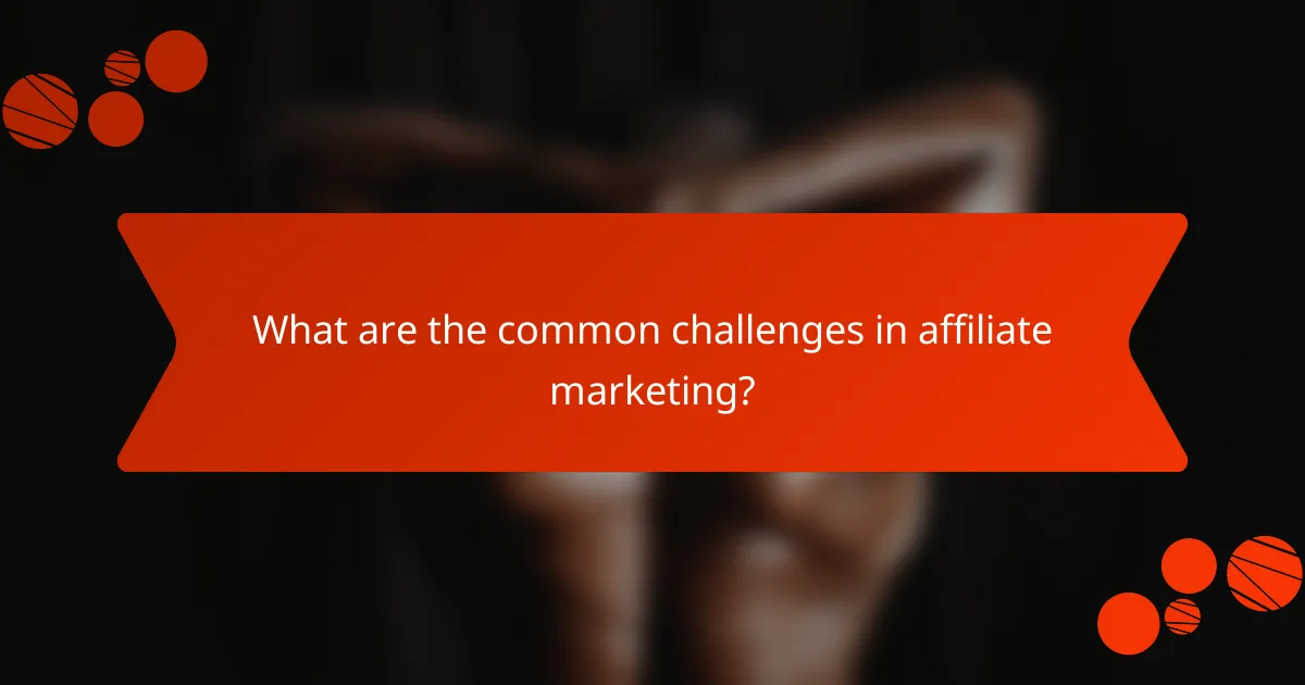 What are the common challenges in affiliate marketing?