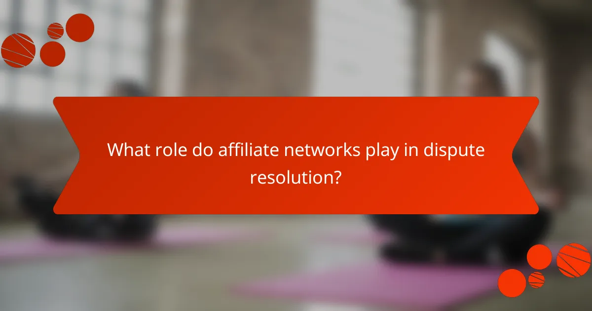 What role do affiliate networks play in dispute resolution?